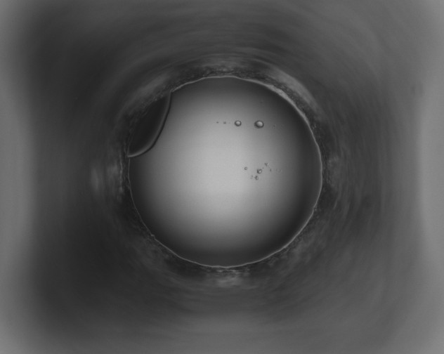 X0000100941111200806241421