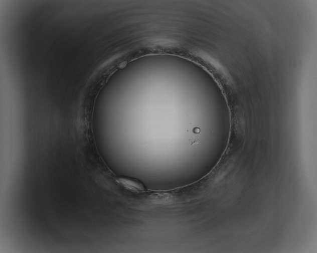X0000100941112200806241421