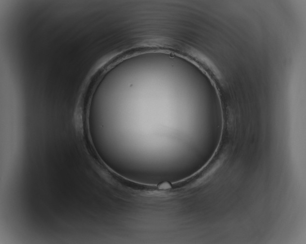 X0000100941114200806241421