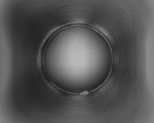 X0000100941116200806241421