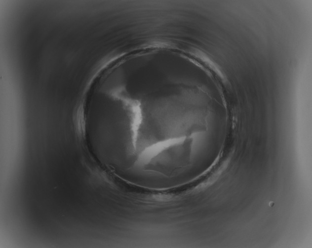 X0000100941117200806241421