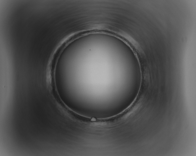 X0000100941118200806241421