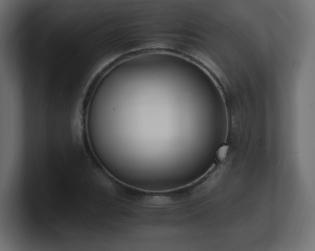 X0000100941119200806241421