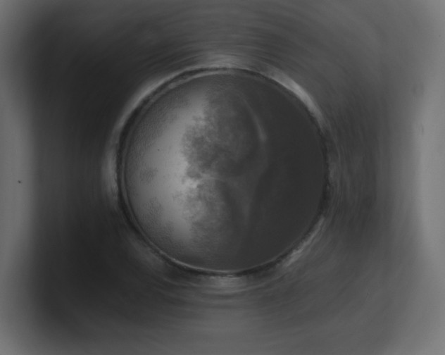 X0000100941120200806241421
