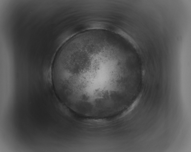 X0000100941121200806241421