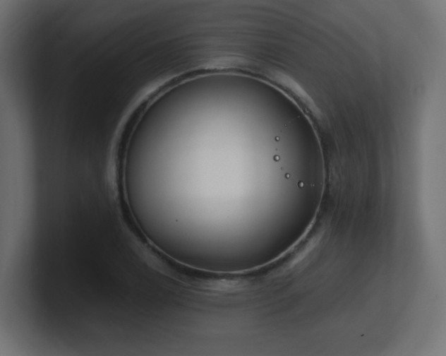 X0000100941122200806241421