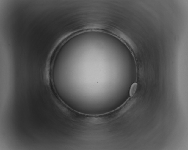 X0000100941124200806241421