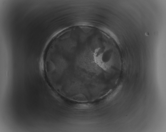 X0000100941125200806241421