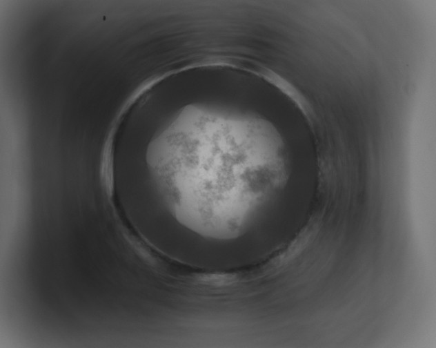 X0000100941127200806241421