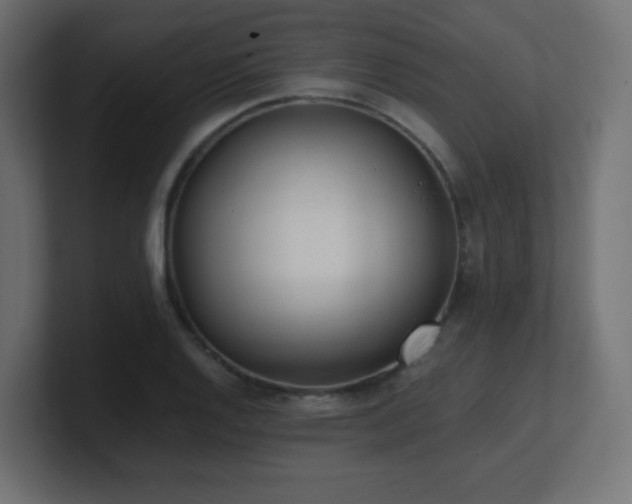 X0000100941128200806241421