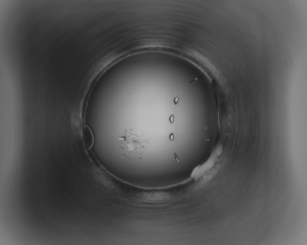 X0000100941129200806241421