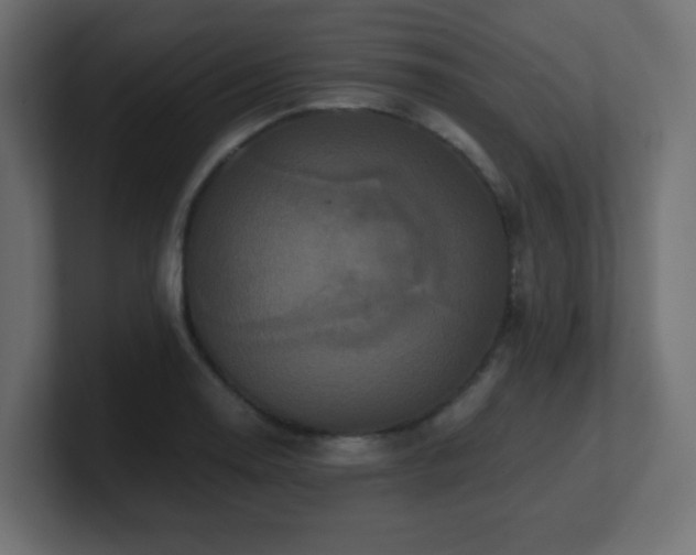 X0000100941130200806241421