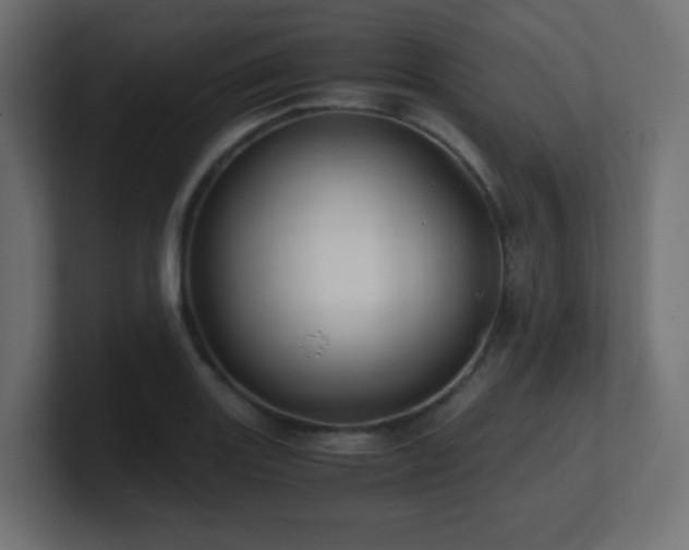 X0000100941131200806241421