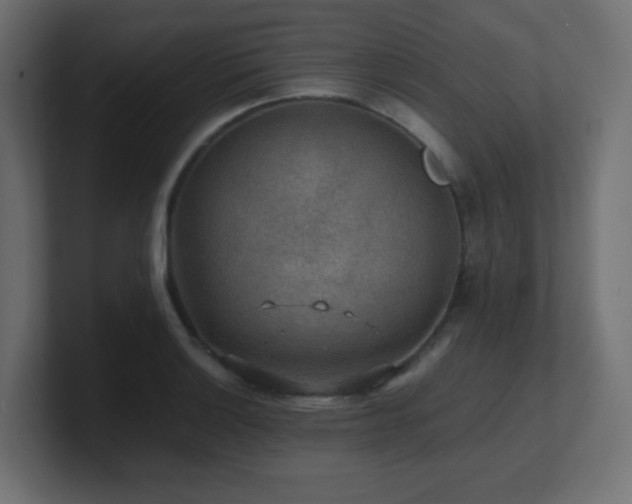 X0000100941132200806241421