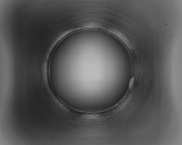 X0000100941134200806241421