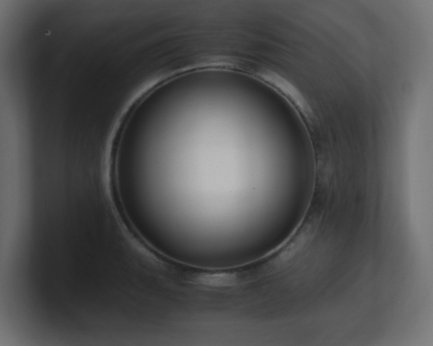 X0000100941135200806241421
