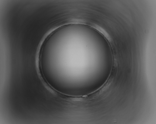 X0000100941136200806241421