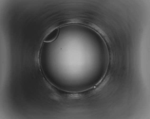 X0000100941137200806241421