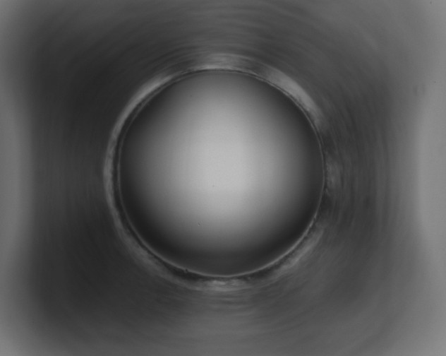 X0000100941138200806241421