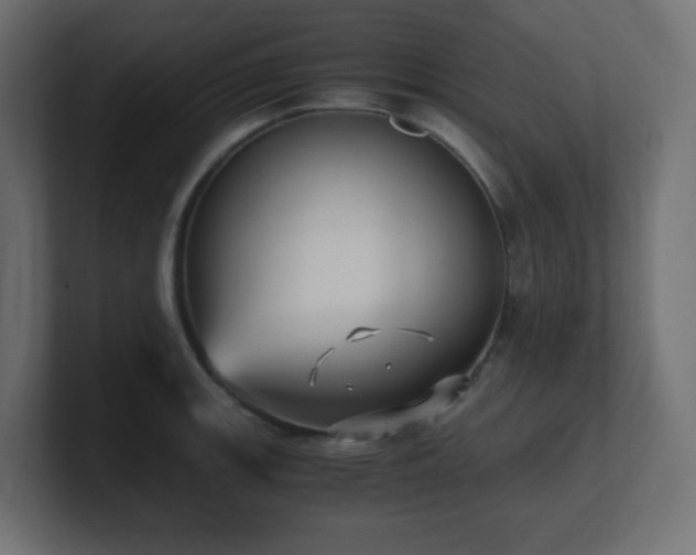 X0000100941139200806241421