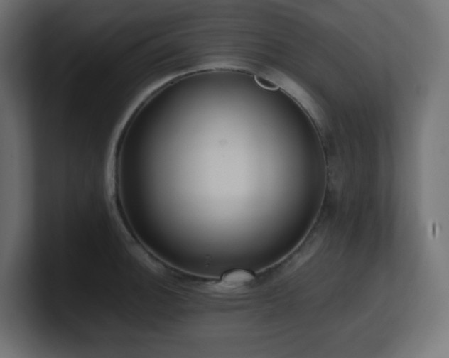 X0000100941140200806241421