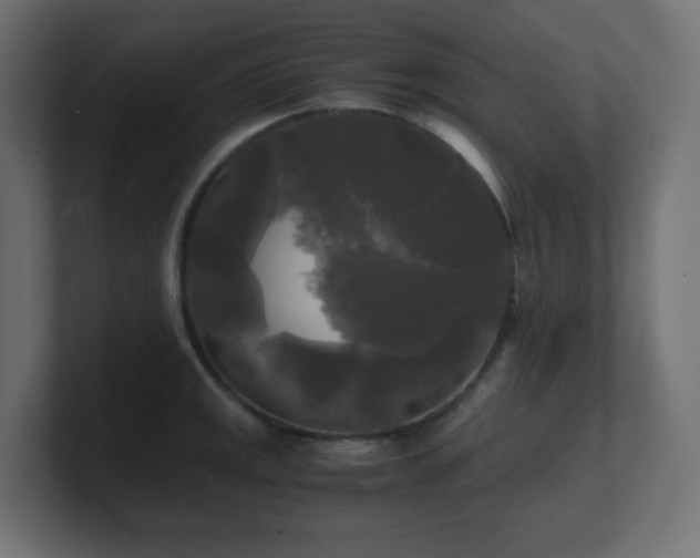 X0000100941141200806241421