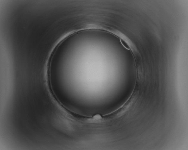 X0000100941142200806241421