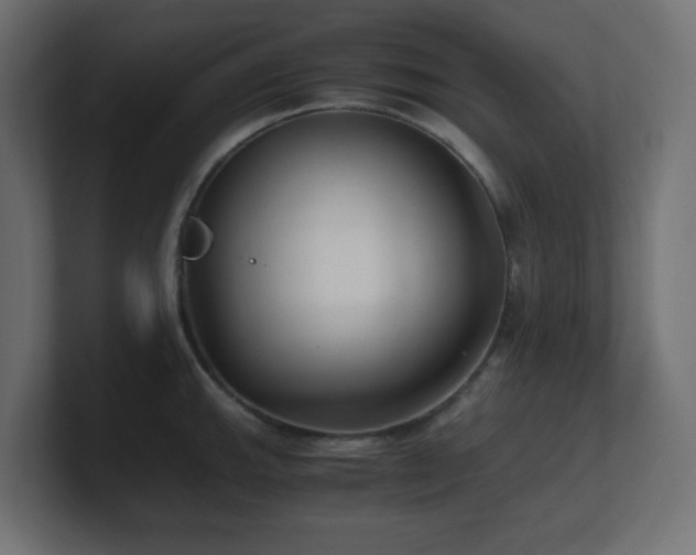 X0000100941143200806241421