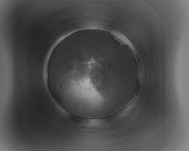 X0000100941144200806241421