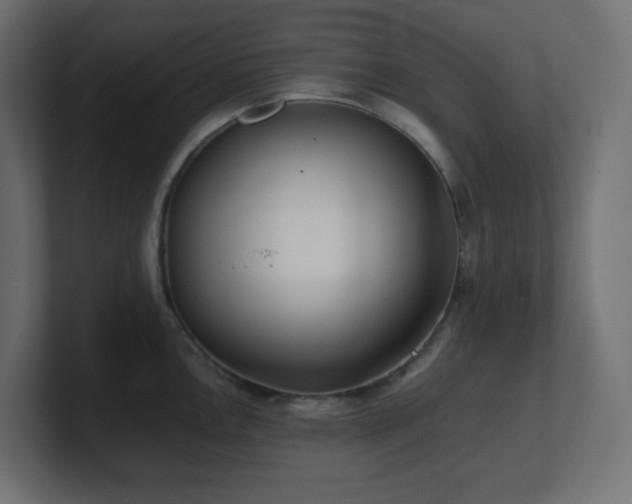 X0000100941146200806241421