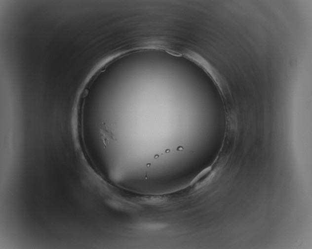 X0000100941147200806241421
