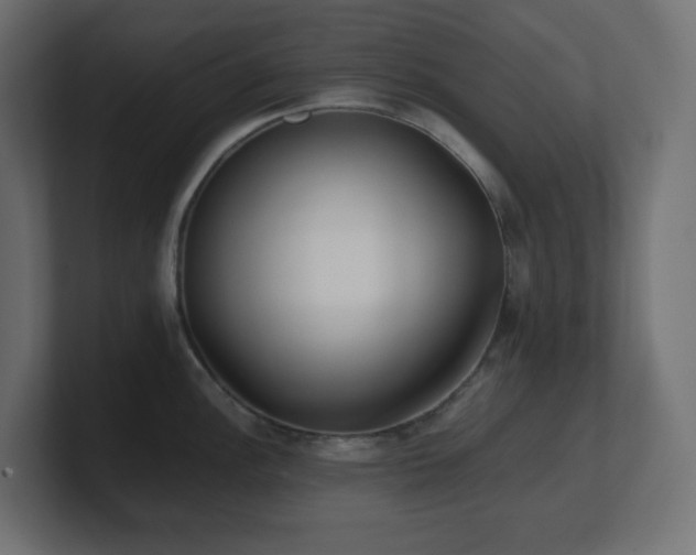 X0000100941148200806241421