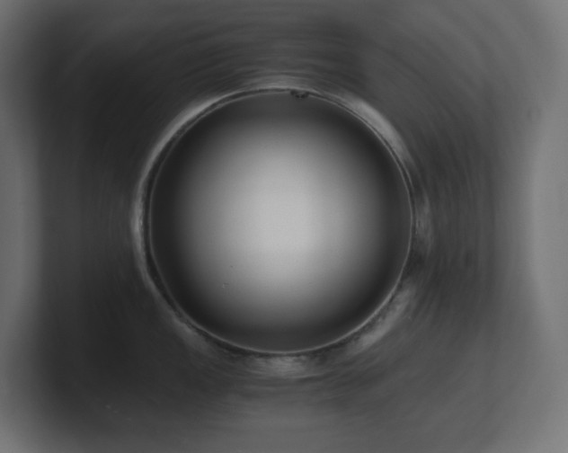 X0000100941149200806241421
