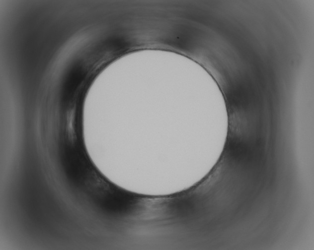 X0000100941150200806241422