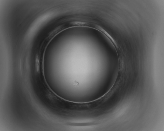 X0000100941151200806241422