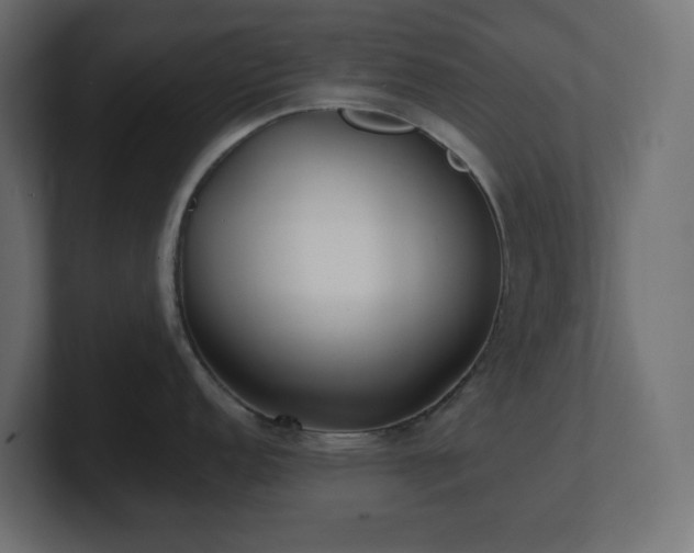 X0000100941152200806241422