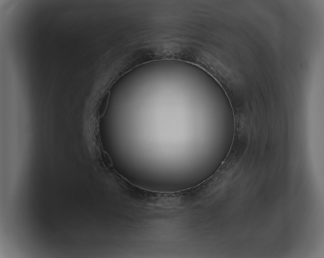 X0000100941153200806241421