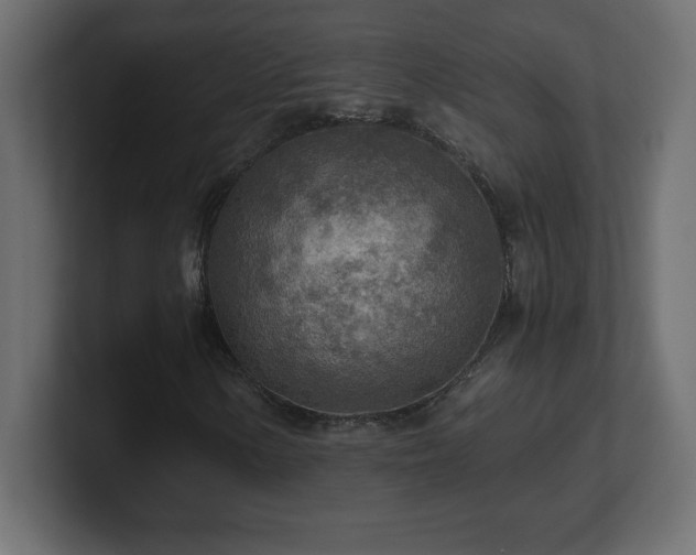 X0000100941154200806241421