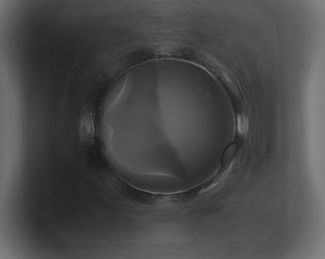 X0000100941155200806241421