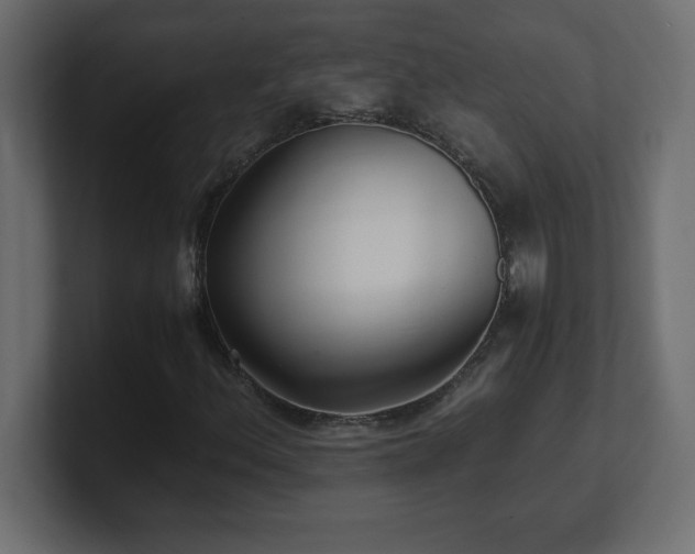 X0000100941156200806241421