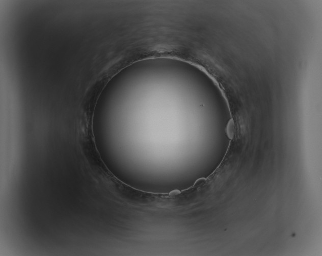 X0000100941158200806241421