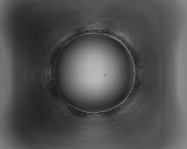 X0000100941159200806241421