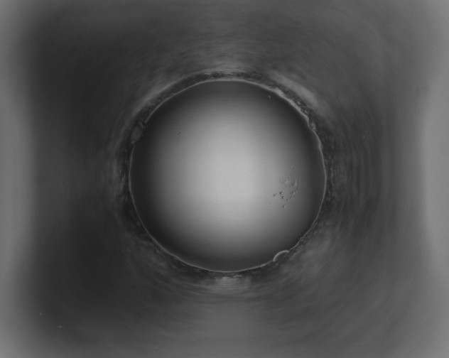 X0000100941160200806241421