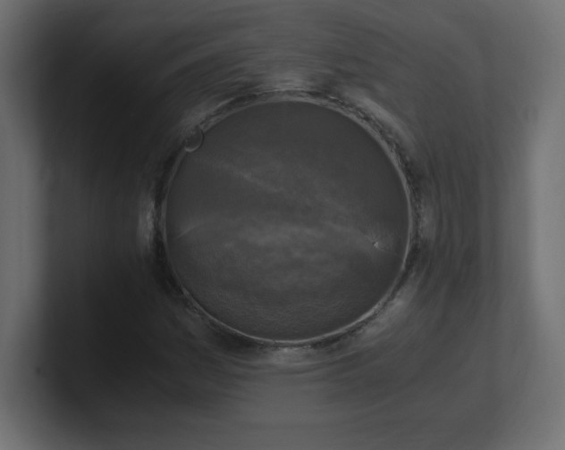 X0000100941161200806241421