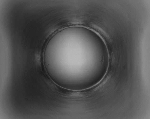 X0000100941162200806241421