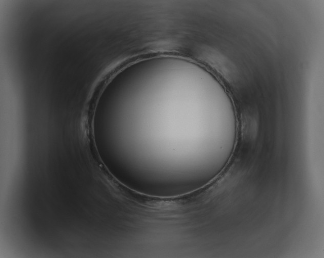 X0000100941164200806241421