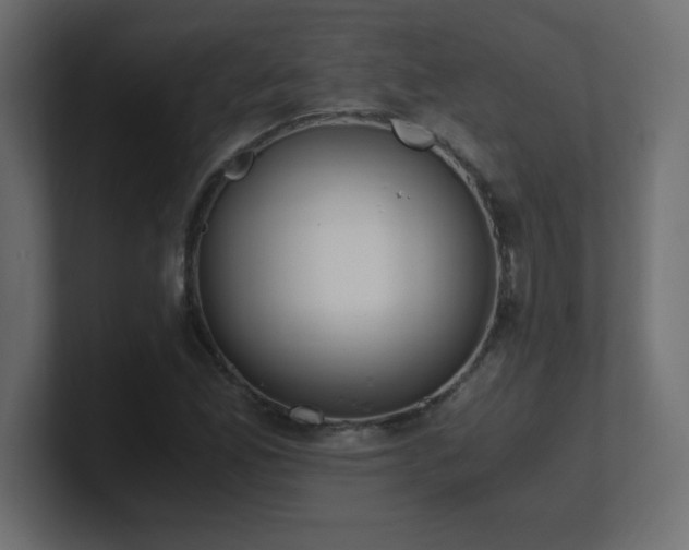 X0000100941165200806241421