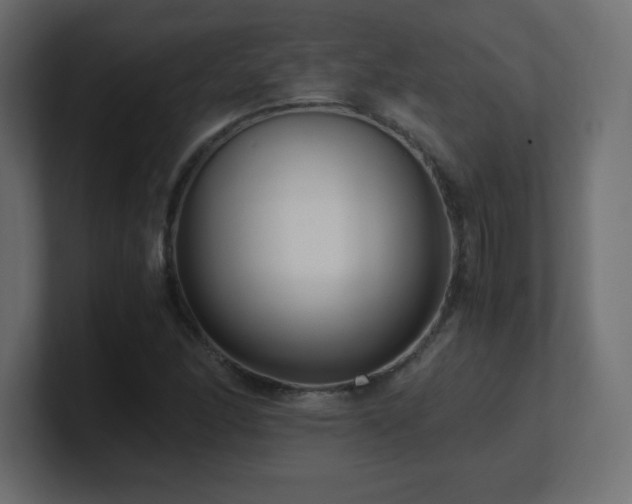 X0000100941166200806241421