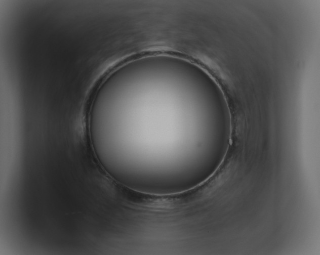 X0000100941167200806241421