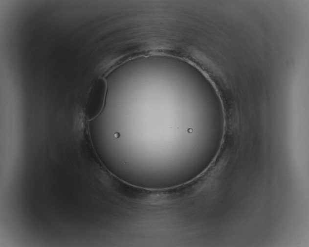 X0000100941169200806241421